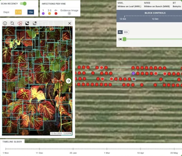 Interactive vineyard map showing infection pressure, scan timeline, and block controls